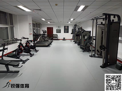 济南某集团采购的7709美彩国际提供的健身器材